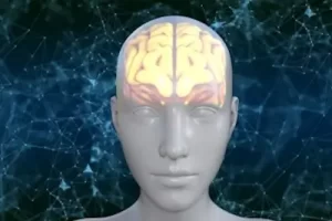 Conheça agora quais são os signos do zodíaco mais intuitivos