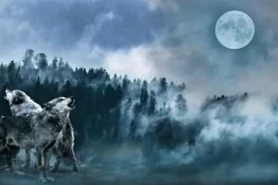 Saiba um pouco mais sobre A história de Dois lobos, um conto poderoso