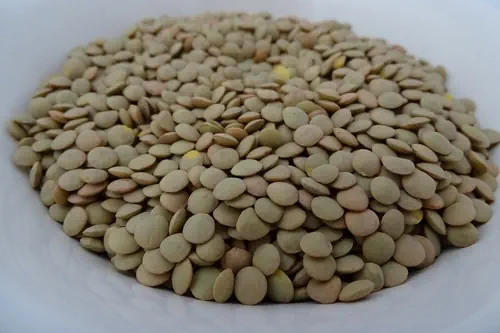 Saiba um pouco mais sobre Simpatia da lentilha que atrai dinheiro