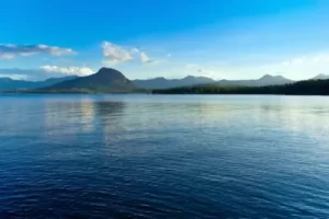 Veja mais sobre Sonhar com água: o que significa?