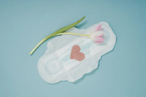 Veja mais sobre Sonhar com menstruação significado do sonho