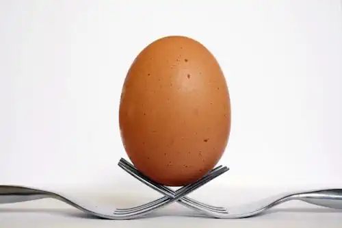 Veja mais sobre Sonhar com ovo o que significa