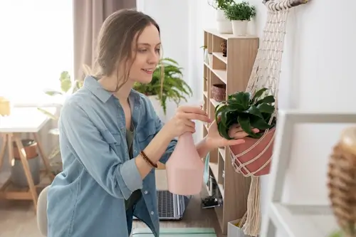 Veja mais sobre os signos que adoram decorar a casa
