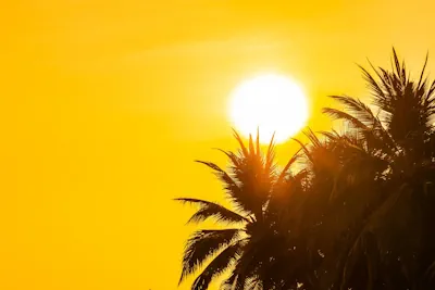 Descubra a natureza forte e brilhante do Sol em Leão