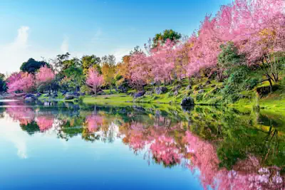 Primavera: renove sua energia, simbolismo e simpatias essenciais!
