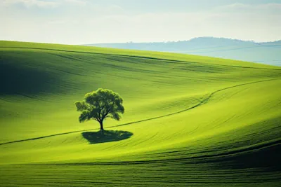 O simbolismo, propriedades e variedades da cor Verde