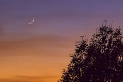 Confira agora como atrair prosperidade e renovação com rituais na Lua Nova