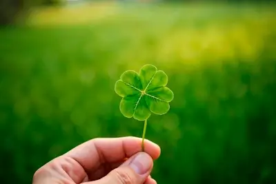 Confira e Veja os signos considerados mais supersticiosos