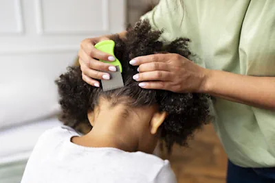 Sonhar com Piolho: Possíveis significados e como interpretar seus sonhos