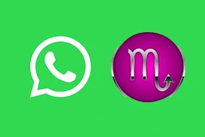 Escorpião WhatsApp