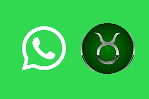 Touro WhatsApp
