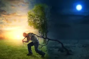 A Determinação em Cada Signo: Descubra a força do seu zodíaco!
