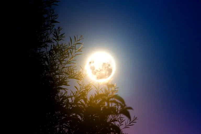 Confira como a Lua Cheia energiza emocionalmente cada signo