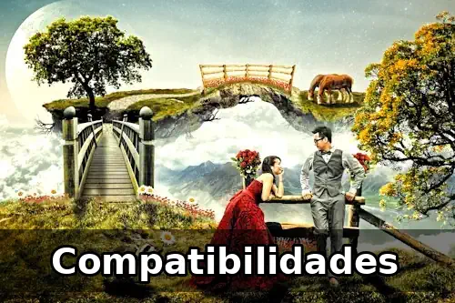 Compatibilidades