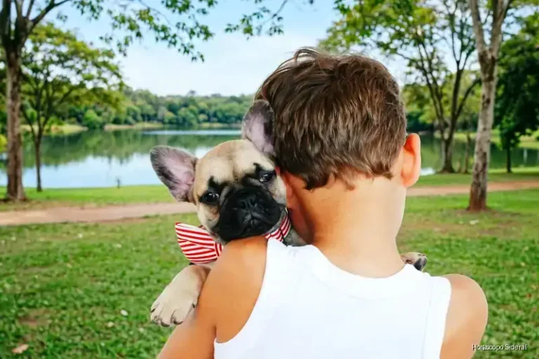 Descubra o espírito animal que há em cada signo